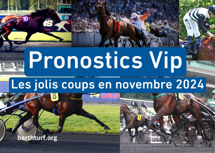 Cheval Gagnant Vip