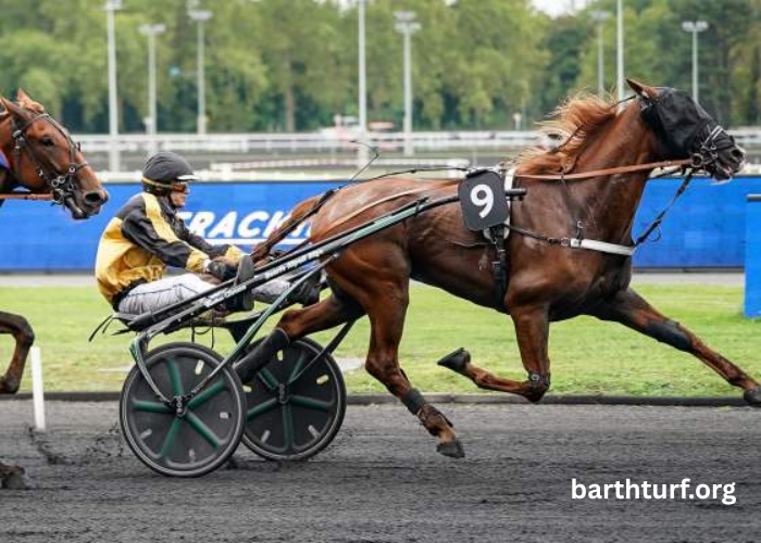 Zeturf Dernière Minute