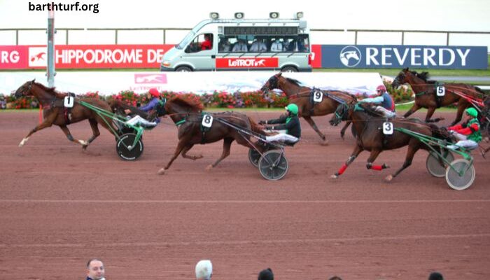 Arive Du Pmu