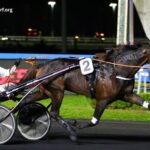 LA Filiere Turf
