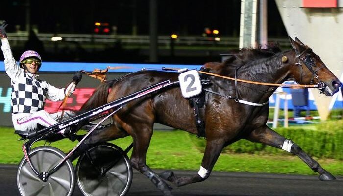Cheval Coup Sur Du Jour