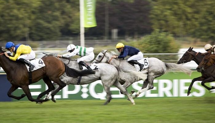 LA Filiere Turf