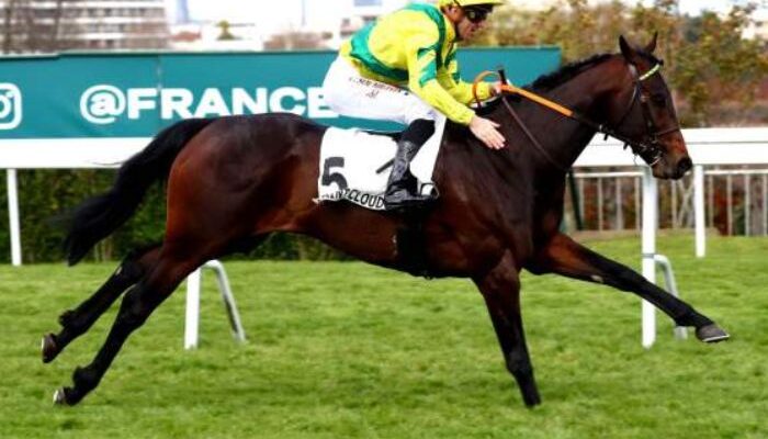 Le Boss Turf