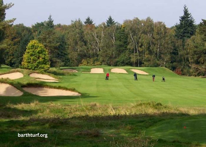 Paris Course Vip