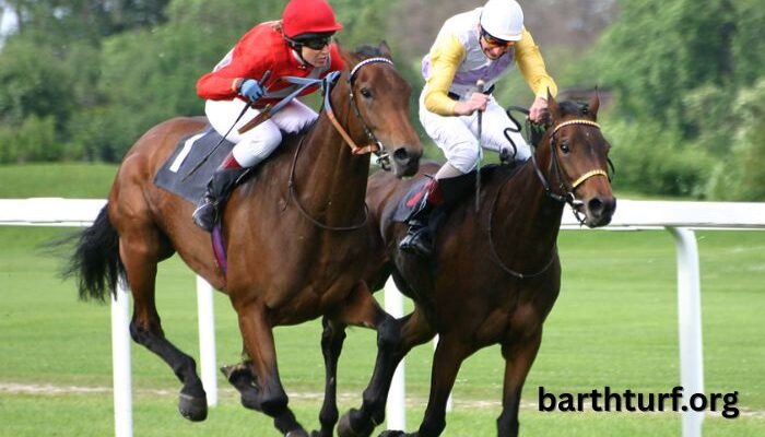 1 2 3 Milliard Turf (2)