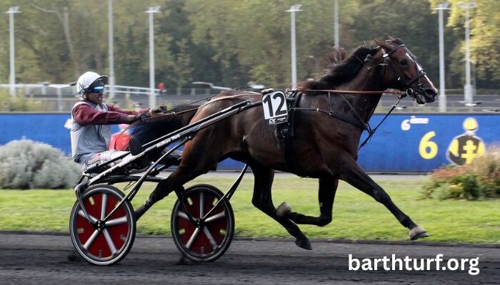 100pour100 Quinteplus (2)