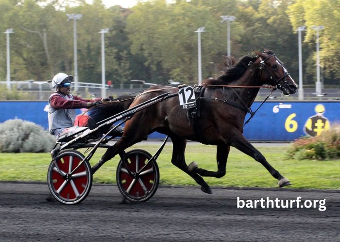 100pour100 Quinteplus
