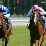 Le Cheval DE Base Incontournable