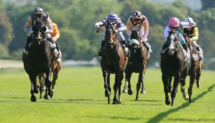 France Turf Vip