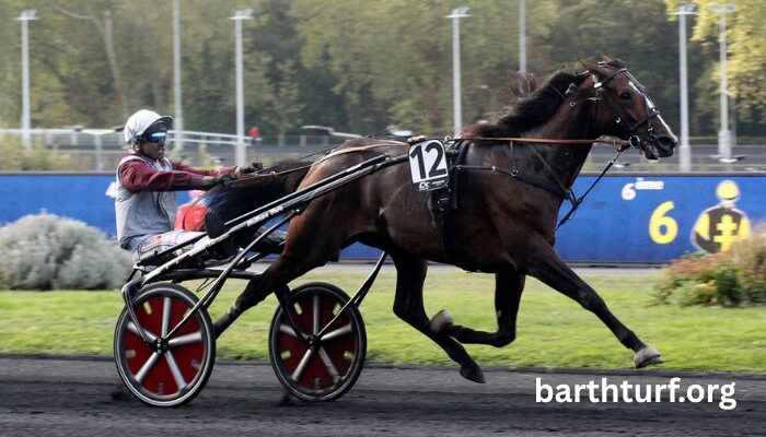 Geny Gagnant Vip (2)