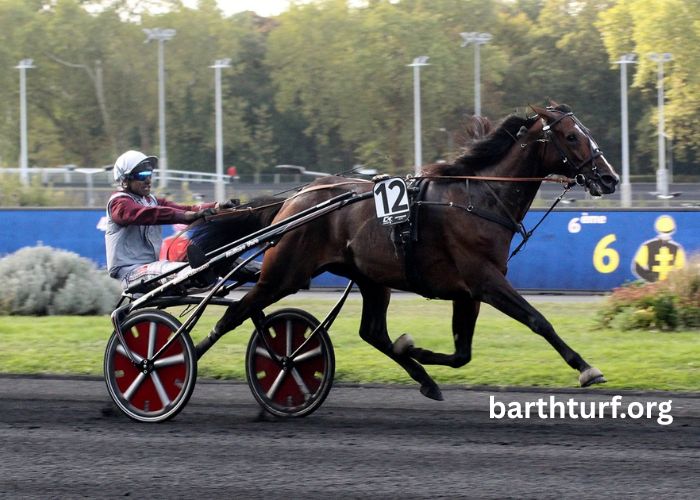 Geny Gagnant Vip (2)
