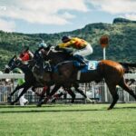 France Turf Vip
