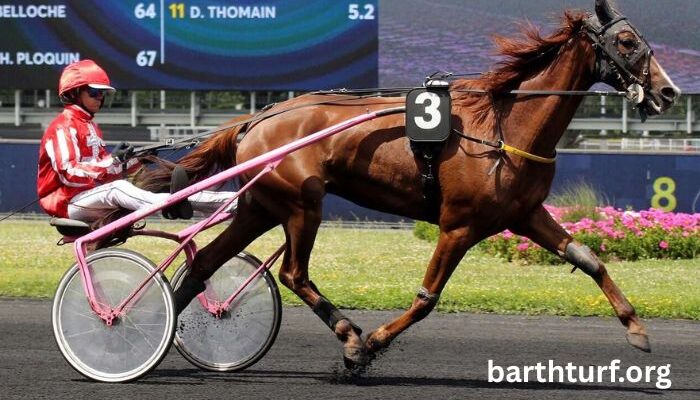 LA Richesse Turf Vip (3)