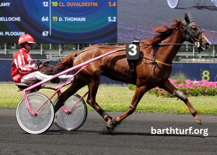 LA Richesse Turf Vip (3)