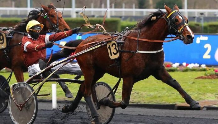 Le Cheval DE Base Incontournable