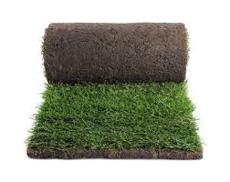 Natural Turf vs Artificial Turf: Long-Term Cost and Maintenance Reality